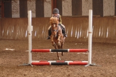 Flint and Denbigh Fun Show Jumping Competition ... 16th March 2013