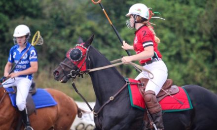 Four Nations Polocrosse Tournament
