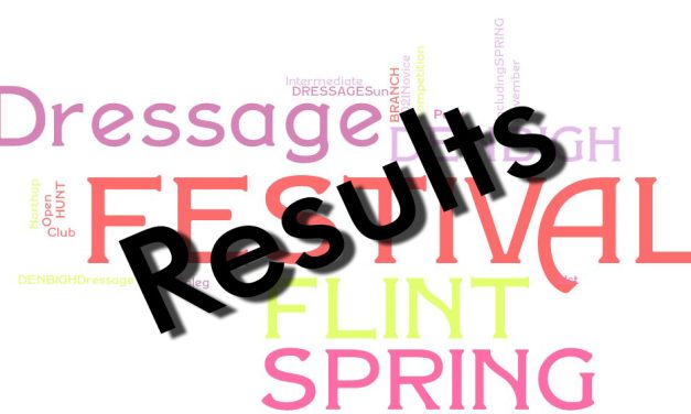 WL Dressage – Flint and Denbigh – Results – 21/11/21