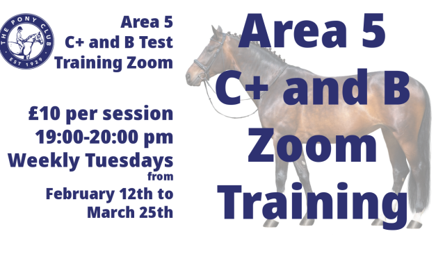 AREA 5 B and C+ TEST TRAINING ZOOM SERIES